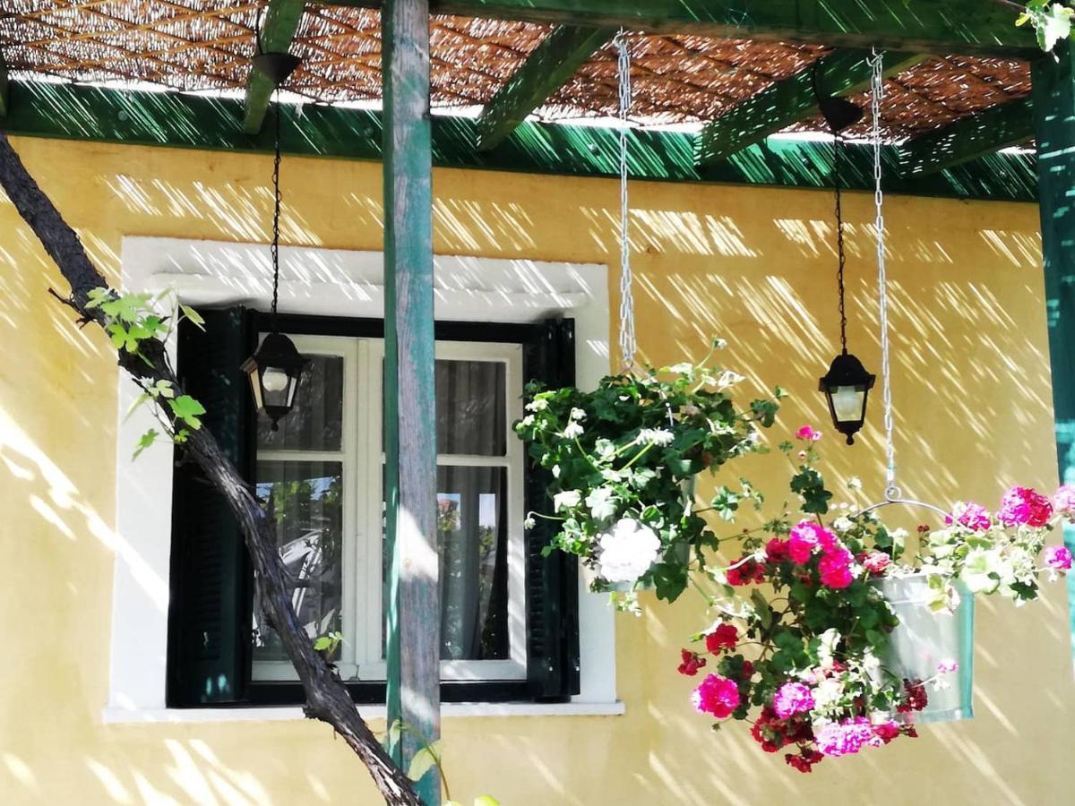 Corfu  Garden House In Corfu 빌라 외부 사진